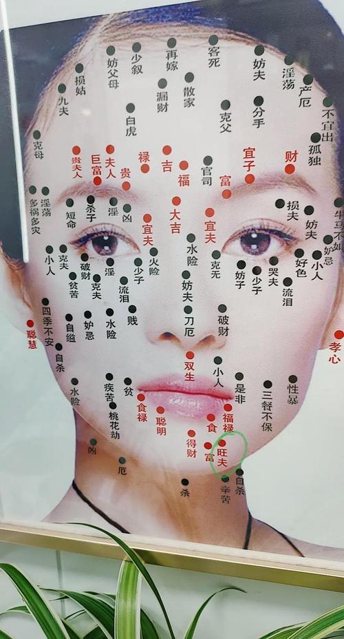 痣相少食是什么意思