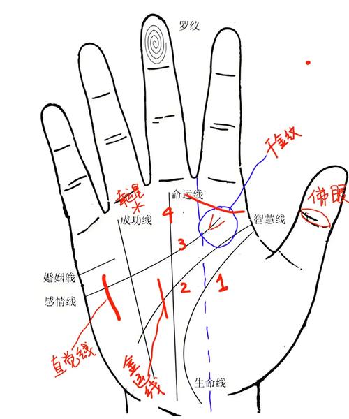 手相圖解：你最吸引人的地方在哪里？