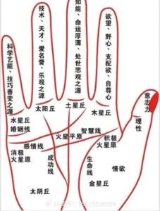 手相事業(yè)線長(zhǎng)直的人堅(jiān)持就能成功是真的嗎？