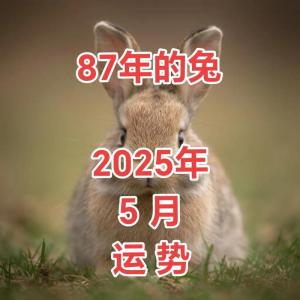 87年屬兔女今年幾月生孩子最好 87年女兔24年有添丁之喜嗎