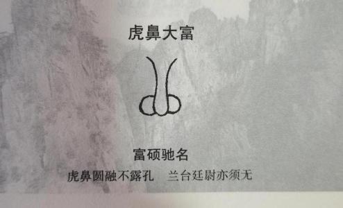 富甲一方的面相什么特征