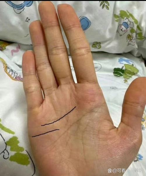 感情線一上一下兩條