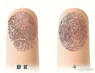 10個手指頭都是簸箕