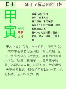 甲寅日柱生于各月的命運解析