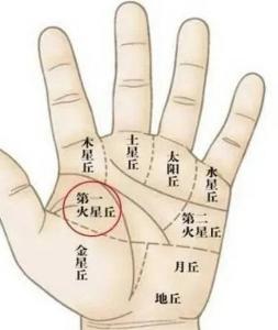 第一火星丘詳解！