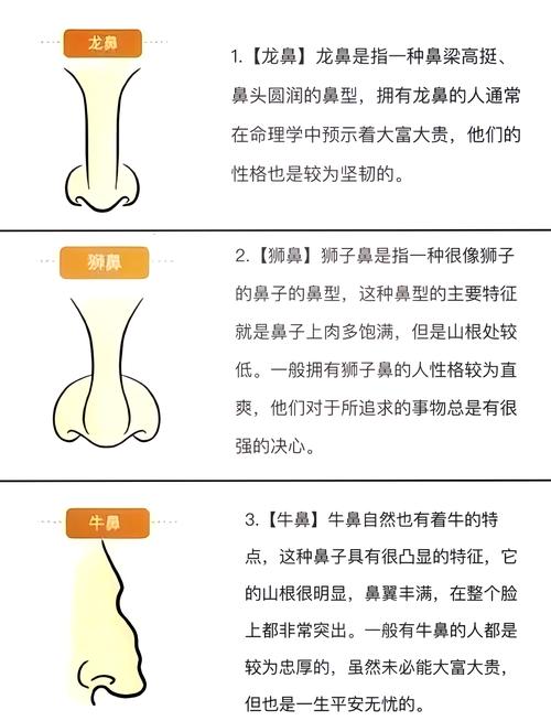 天生富貴命的牛鼻面相分析