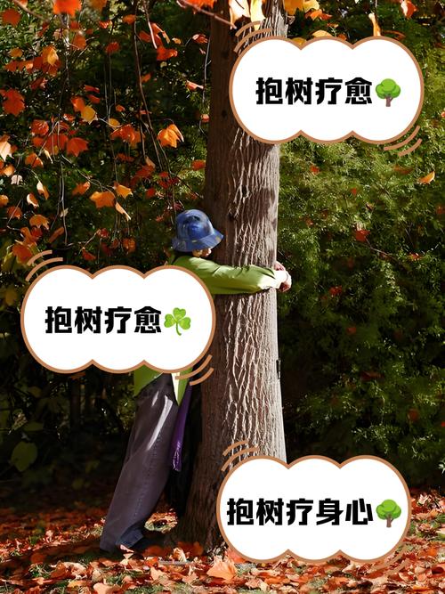 抱大樹化解婚姻不順