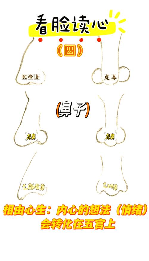 7種常見鼻子揭露你的秘密