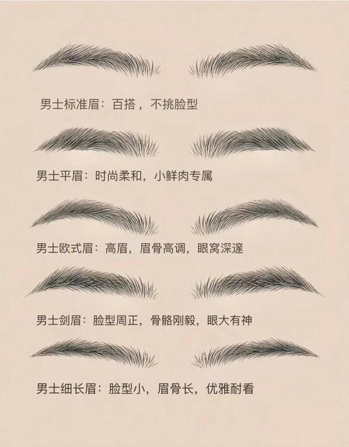 從21種眉毛看男人性格 眉形面相詳解