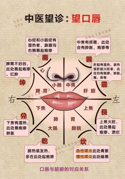 唇的風水解說