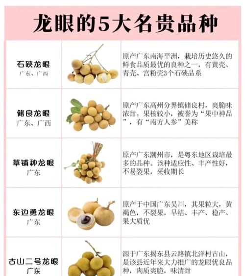 龍眼眼型代表什么含義呢
