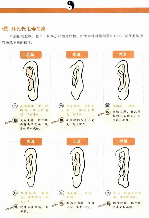耳朵大小看你命運吉兇