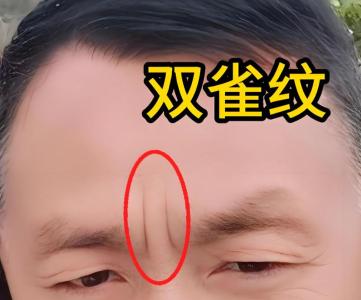 相學(xué)一兩根眉毛特別長
