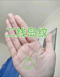 大島紋與小島紋的區(qū)別