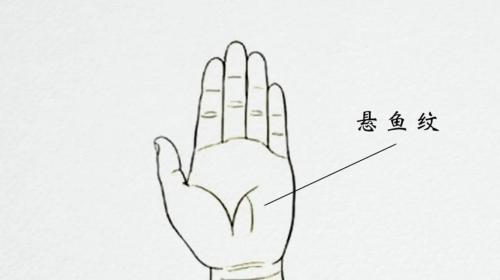 手相 掌心有懸魚紋