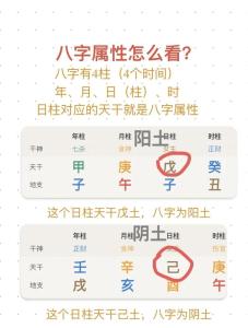 八字是什么