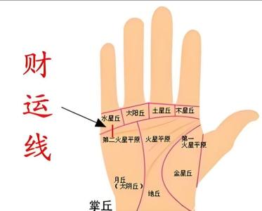 男人沒有財運線好不好，代表入財小或不易守財！