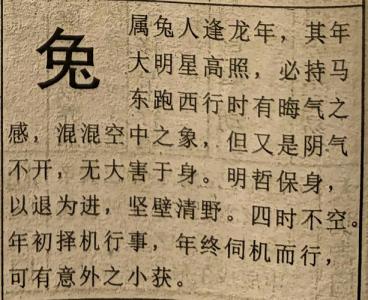 不同年份屬兔人2024年運(yùn)勢 屬兔人2024年二月份各方面運(yùn)勢好不好