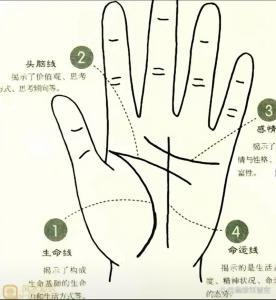 生命線怎樣算短