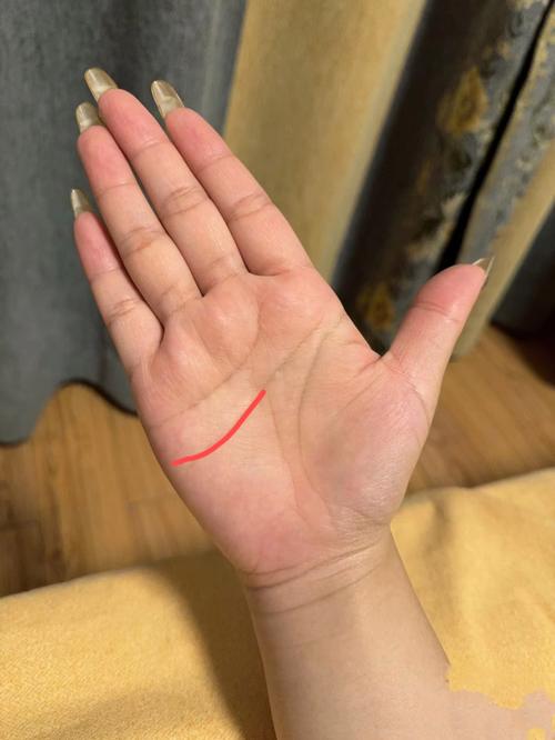 智慧線平直是什么意思？