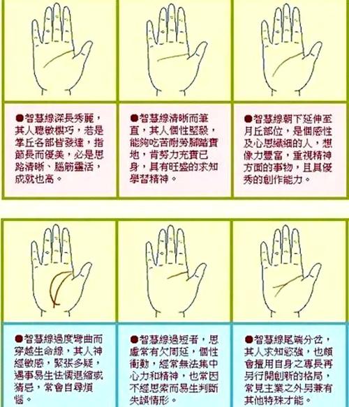 解讀智慧線往下好嗎？
