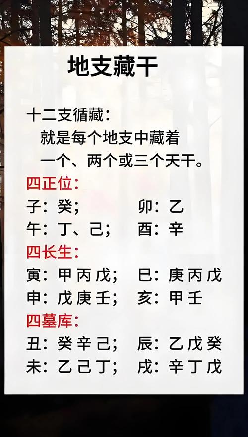 八字地支藏干是什么意思 象征著人元
