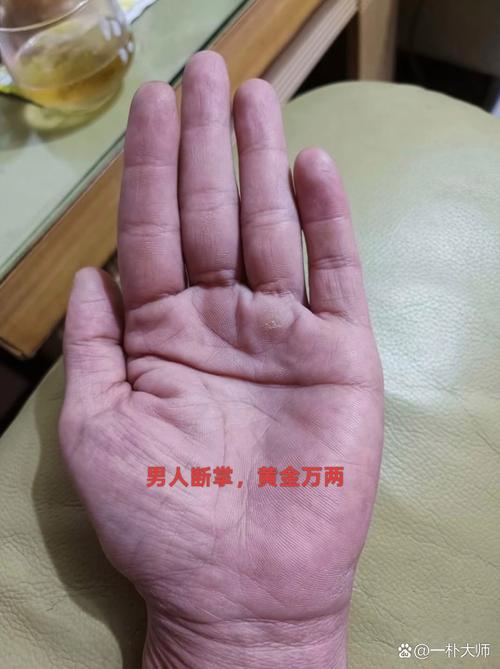 斷掌的男人什么意思｜是手握大權(quán)的意思么