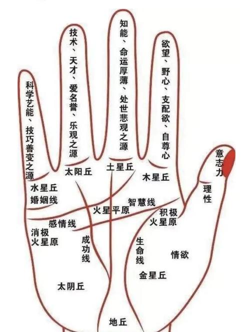 為什么男人手相要看左邊智慧線？