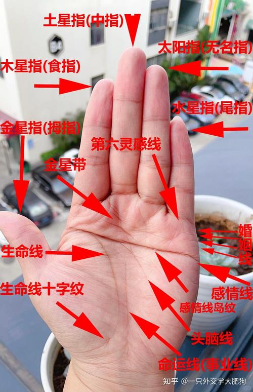 假斷掌紋男人圖解，假斷掌紋手相怎么看？