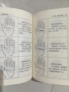 看手相算婚姻 不準確我吃桌子