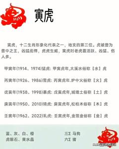 壬寅年是什么虎