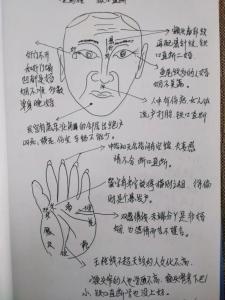 識人三十六術之八：額頭