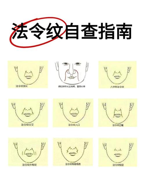 從法令紋面相看一個人的命運