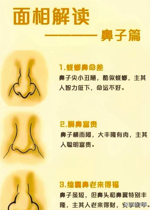 鼻子大小看財運旺不旺呢