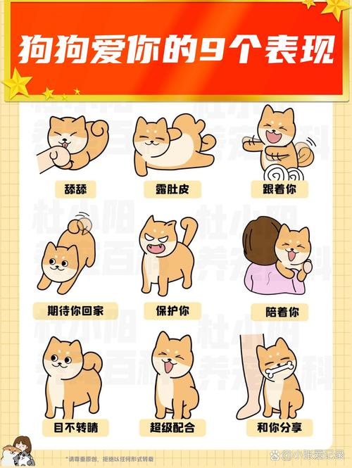 屬狗愛你的表現