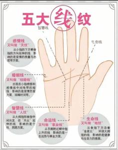 女人手硬一生好命是真的嗎 有何說法嗎
