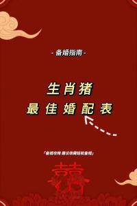 2019年男豬女豬結婚好嗎？