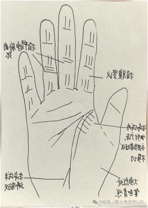 揭秘便秘者的手紋有什么特征？