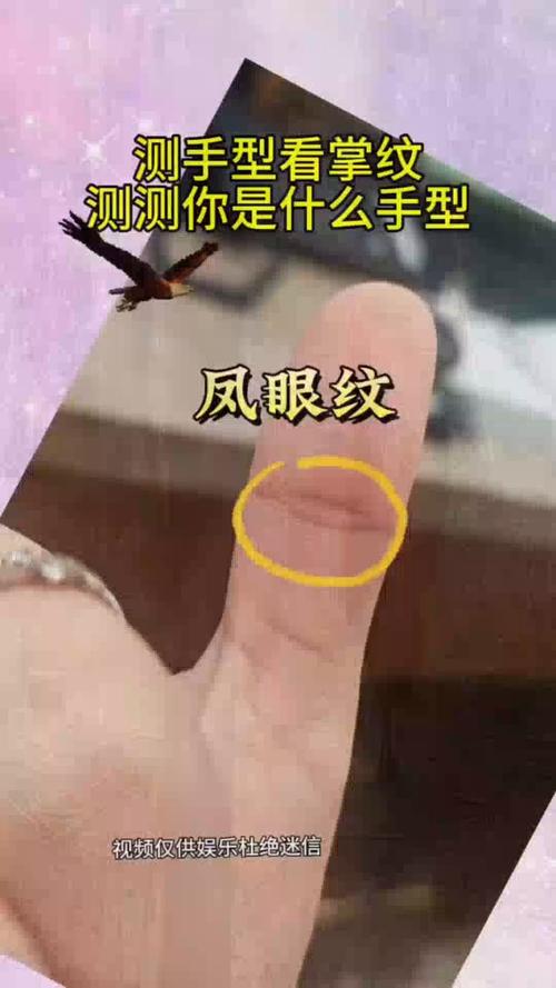 手相鳳眼紋準嗎？大家看了就知道