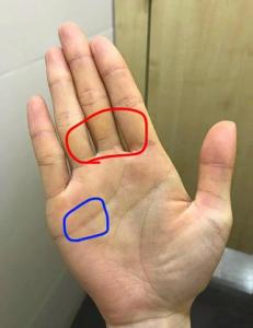 手有漏財紋守不住財