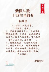紫微十四主星詳解