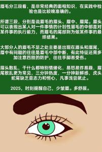 右眉長一根長眉毛圖解