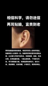 什么是提耳、貼腦耳