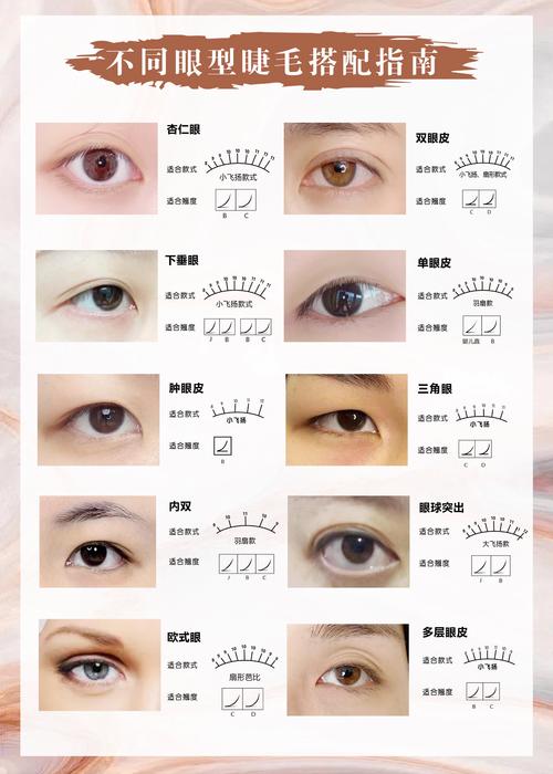 常見眼型有幾種