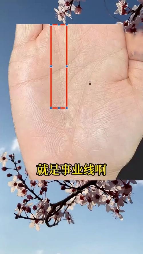 晚年大富大貴的成功線