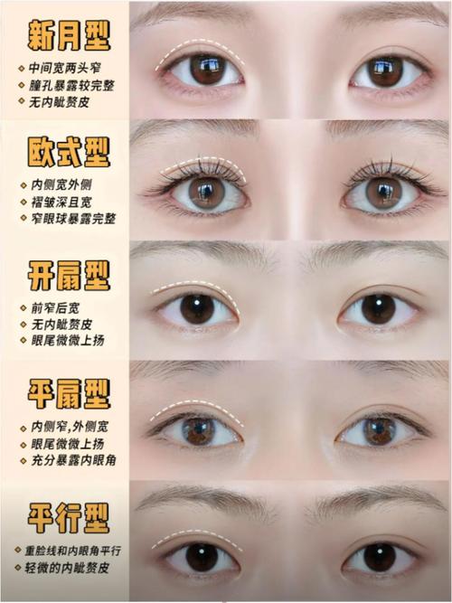雙眼皮的人性格特征