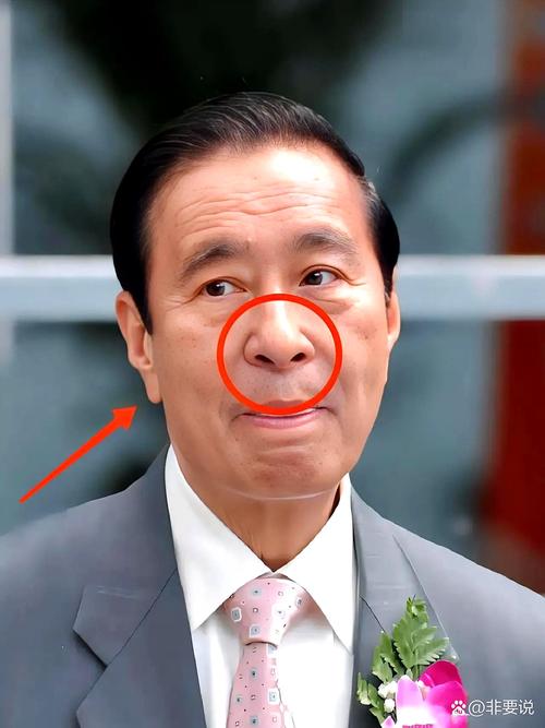 晚年大富大貴的面相 鼻翼豐滿有肉