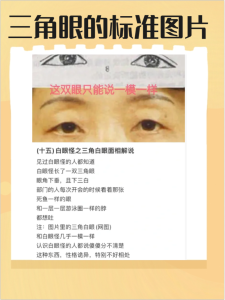 為什么大人物都是三角眼