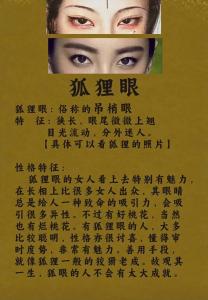 狐貍眼有什么說(shuō)法