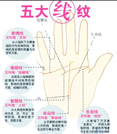 手相子女線算命圖解